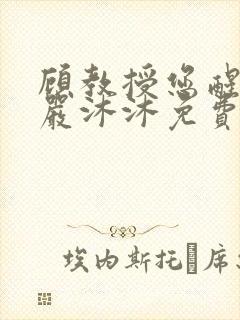 顾教授您醒了吗严沐沐免费阅读全文小说