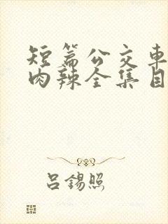 短篇公交车高h肉辣全集目录封面