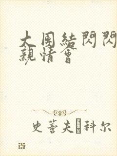 大团结闪闪发光亲情会封面