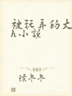 被玩弄的大小姐h小说封面