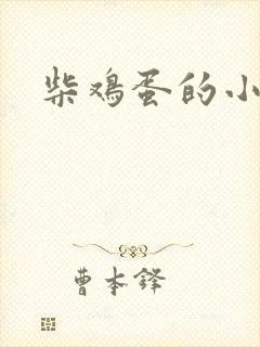 柴鸡蛋的小说