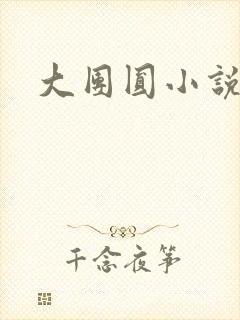 大团圆小说封面