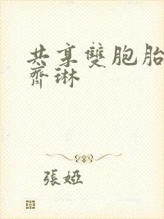 共享双胞胎齐娜齐琳封面