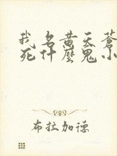 我名黄天苍天已死什么鬼小说笔趣阁