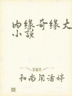 内缘奇缘大团圆小说