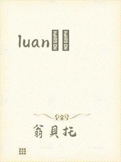 luanС˵封面