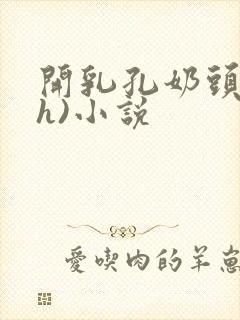 开乳孔奶头(高h)小说