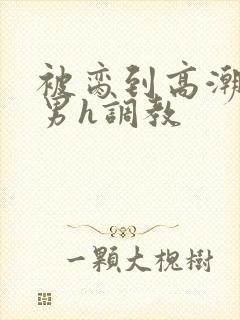 被脔到高潮的直男h调教