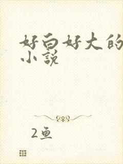 好白好大的奶子小说