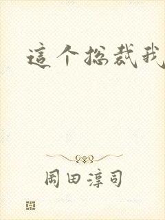 这个总裁我要了