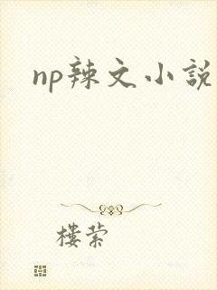 np辣文小说