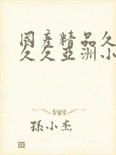 国产精品久久久久久亚洲小说