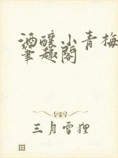 酒酿小青梅po笔趣阁