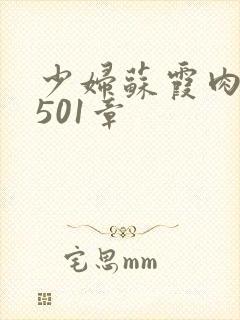 少妇苏霞肉欲第501章