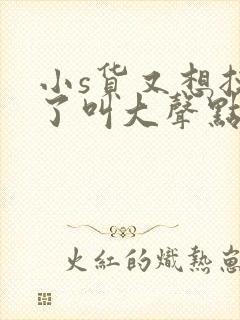 小s货又想挨c了叫大声点