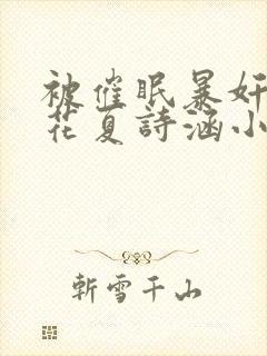 被催眠暴奸的校花夏诗涵小说封面