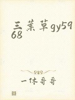 三叶草gy5968