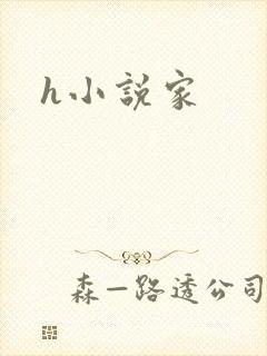 h小说家
