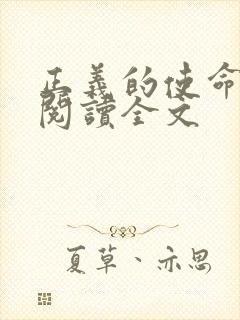 正义的使命免费阅读全文封面