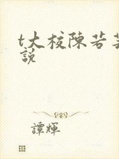 t大校陈若芸小说