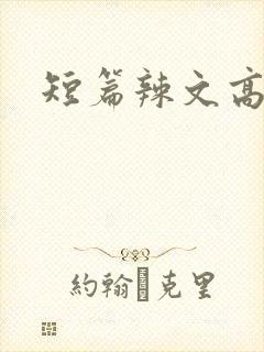 短篇辣文高h封面