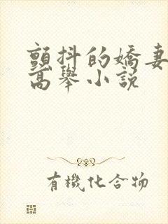 颤抖的娇妻玉腿高举小说