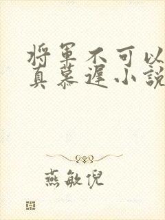 将军不可以魏云真慕迟小说笔趣阁封面