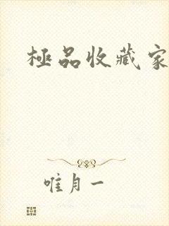 极品收藏家