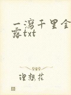 一泻千里金银花露txt封面