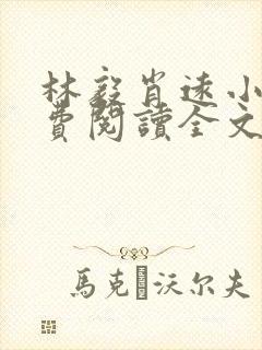 林毅肖远小说免费阅读全文最新章节