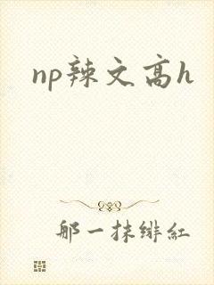 np辣文高h