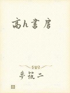 高h书房