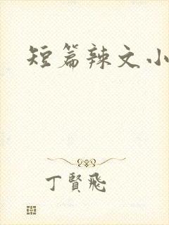 短篇辣文小说