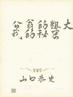 公翁的粗大放进我的秘密