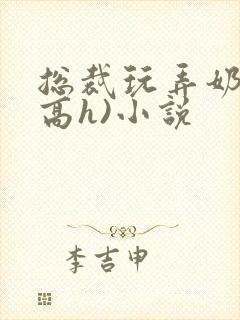 总裁玩弄奶头(高h)小说