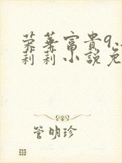 荣华富贵9小王莉莉小说免费阅读