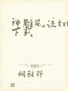 神雕风流txt下载