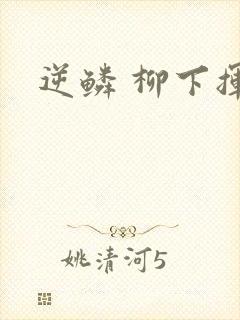 逆鳞 柳下挥封面