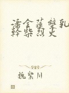 潘金莲双乳晃动干柴烈火封面