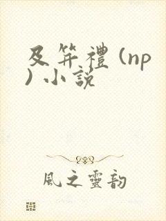 及笄礼 (np) 小说