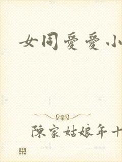 女同爱爱小说封面