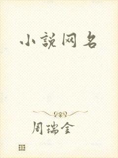 小说网名