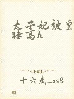 太子妃被皇上强睡高h