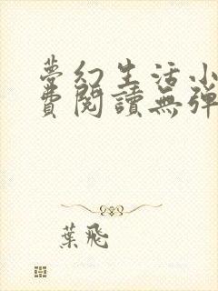 梦幻生活小说免费阅读无弹窗全文封面