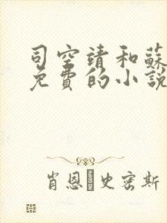 司空靖和苏月汐免费的小说笔趣阁