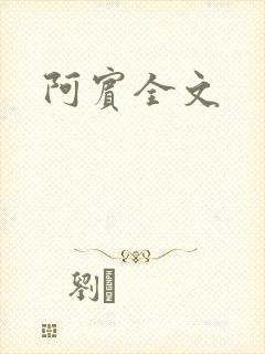 阿宾全文封面