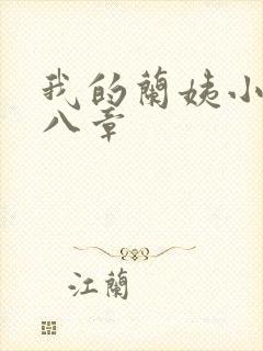 我的兰姨小说第八章