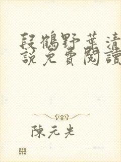 段鹤野叶清璃小说免费阅读最新章节