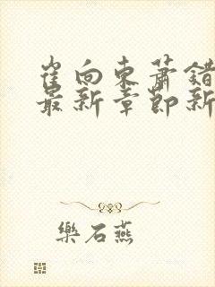 崔向东萧错小说最新章节新笔趣阁