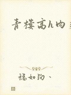 青楼高h肉爽文